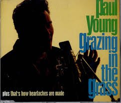 Grazing In The Grass