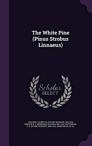 The White Pine (Pinus Strobus Linnaeus) 1341699412 Book Cover