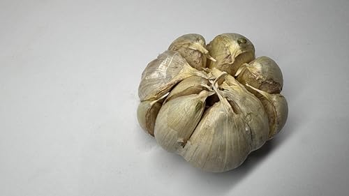 Fresh Elephant Garlic Bulbs by RawJoy Farms - 2 Huge Bulbs
