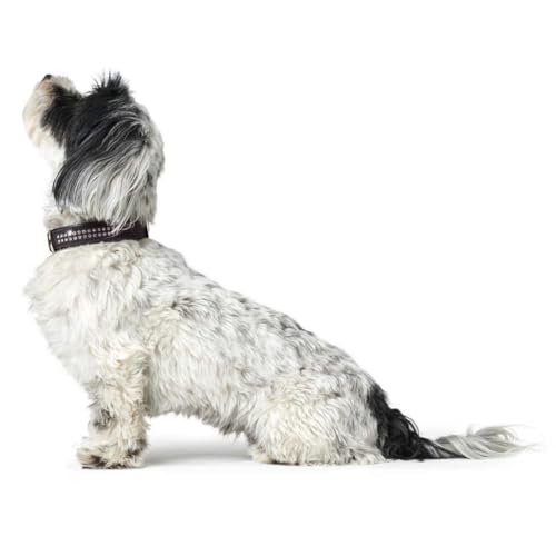 HUNTER SOFTIE DELUXE Hundehalsband, Kunstleder, glitzernde Strasssteine, 40 (XS-S), schwarz