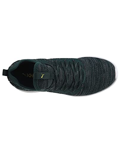 Image of Puma Unisex Kid Ignite Flash Evoknit PS Sneaker