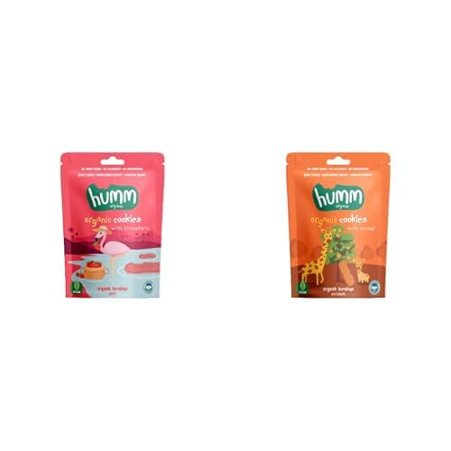Organik Vegan Tatlı Kurabiye Atıştırmalık Paketi - 4 adet (2 çeşit)