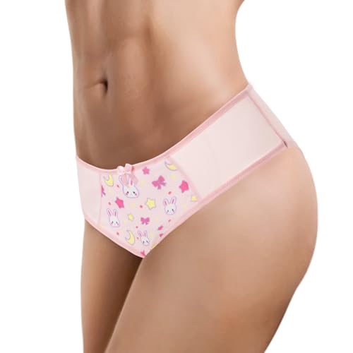 Littleforbig Unisex Hipster Briefs Usagi Moon Mesh Shaping Tucking Gaff Briefs for Sissies Crossdressers Transgender
