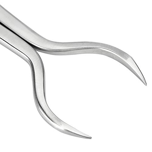 Pinças de casco de encaixe a quente, alicates de exame de casco, alicates de ferrador de aço pesado,