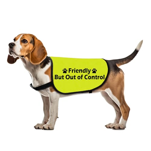 Hundeweste, lustig, freundlich, aber außer Kontrolle, mit Slogan, Geschenk für soziale Distanzierung, Größe L