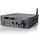 Hifi-Verstärker, 2000W Mini hifi Verstärker, 2.0-Kanal 100W*2 Bluetooth 5.3 TPA3116 Stereo-Audioverstärker, Digitale Endverstärker Soundverstärker,OPT/AUX/USB -Karteneingang, für Zuhause oder Auto