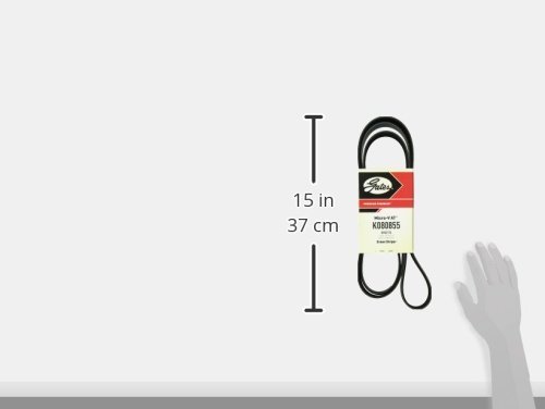 Amazon.com: Gates K080855 Micro-V Serpentine Drive Belt : Automotive 