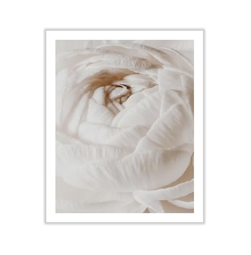 Monem Art White Flower Macro Photography Print - Soft Neutral