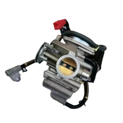Carburateur moto pour DS150 ATV150 GS150 et WS150 CS150