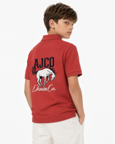 Image of Alan Jones Clothing Boy's Cotton Regular Fit Colorblock Regular Polo T-Shirt