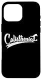 calisthenics street workout fitness street train