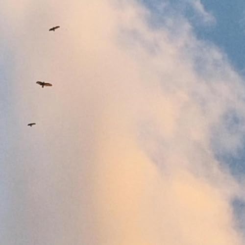 Play Soaring by SOUNDS OF ATTICUS on Amazon Music Unlimited