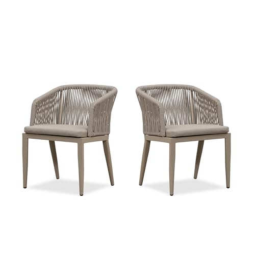 PURPLE LEAF 2 Pieces Outdoor Dining Chair All-Weather Wicker Aluminum Frame Patio Dining Chair for Lawn Garden Backyard Deck with Cushion, Champagne Armchair