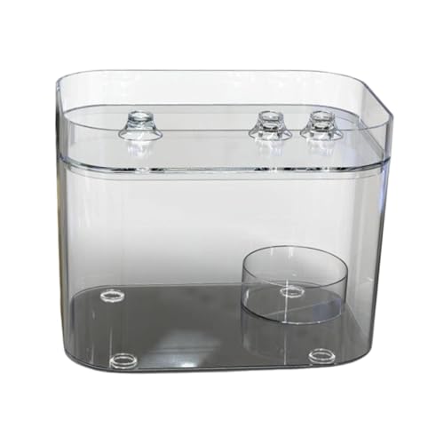 Bothyi Reptile Feeding Box Small Snake Breeding Box Easy Maintenance Small Animal Habitat Cage Hatching Container for Frog