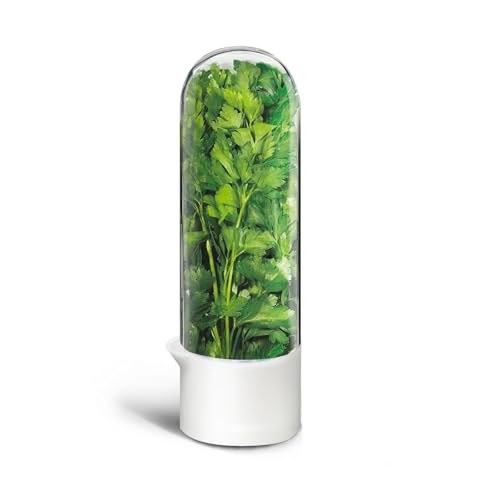 Celestick Herb Keeper for Refrigerator, Fresh Herb Storage Container with Clear Dome, Keeps Cilantro Mint Parsley Asparagus Fresh 2-3 Weeks, 9.65 Inch, White, 1 Pack