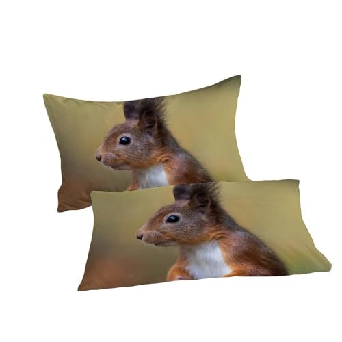 Housse de couette double écureuils 200x200 microfibre et taies - 7