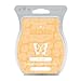 Scentsy Multi-Pack - Mochadoodle, by The Sea, Camu Camu