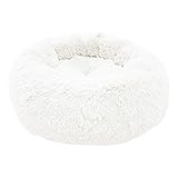 🐕 GRÖßE: 70x70x20 cm (für Haustiere bis 10 kg)
