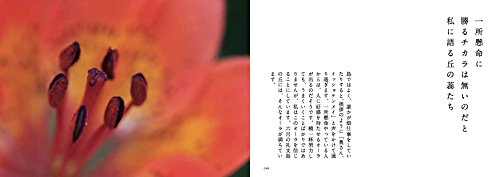 Amazon.co.jp: 杣田 美野里: 本、バイオグラフィー、最新アップデート Amazon.co.jp: 杣田 美野里: 本、バイオグラフィー、最新アップデート