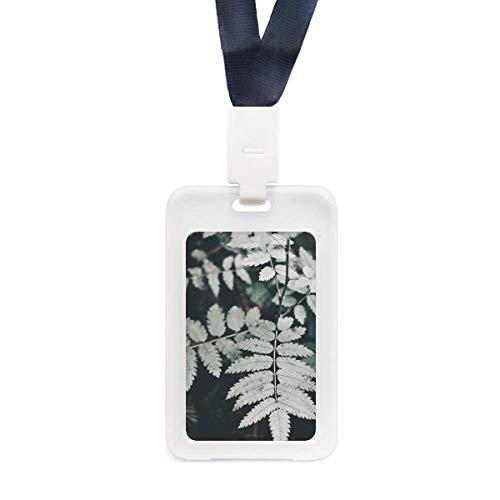 Pochette protecteur carte crédit motif feuille plante image nature transparente étui plastique