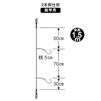 Amazon | がまかつ(Gamakatsu) 串本かせ胴突仕掛 2本鈎 FD125 10