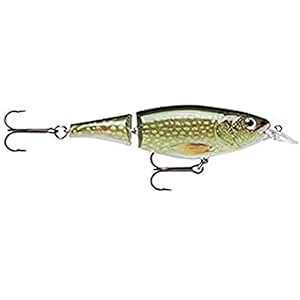 Rapala X-Rap Jointed Shad Leurre Mixte