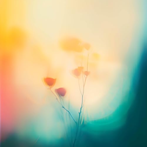 Simon Wester & Dear Gravity