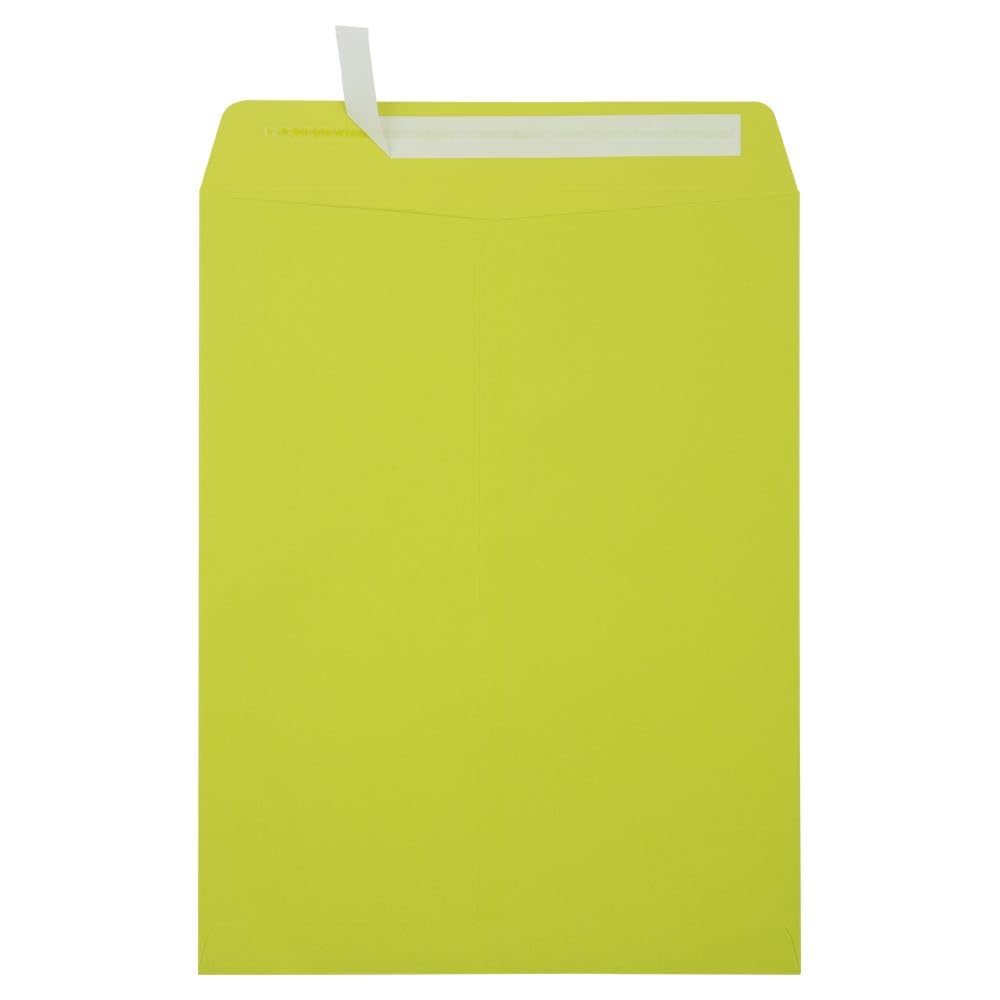 10 x 13 Open End Envelopes - Wasabi Green (50 Qty.) | Perfect for Tax Season, Important Documents, Letters, Invoices or Statements | LUX-4897-L22-50