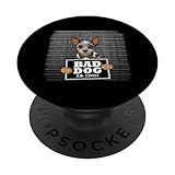 Photo Gallery australian cattle dog cane colpevole colpito da foto popsockets popgrip intercambiabile Photo Gallery australian cattle dog cane colpevole colpito da foto popsockets popgrip intercambiabile