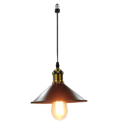 DWYHTD Screw in Hanging Light Fixture Instant Pendant Light Recessed Light Conversion Kit with E26 Screw-in Adapter for Bedroom Living Room & Kitchen Island Lighting (Classic)