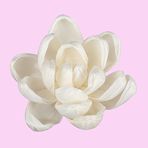 Set de 5 palitos difusores florales de ratán y madera miniatura 6