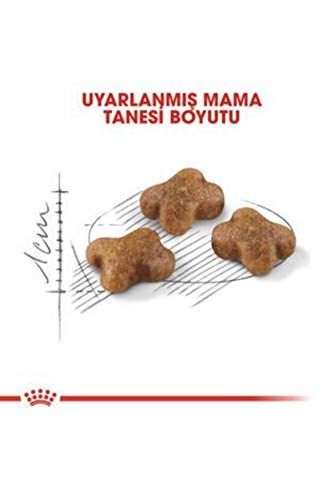 Royal Canin 55102 Kitten 4 kg- Katzenfutter