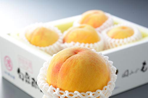 食品 桃 訳あり」の人気商品一覧・価格比較 - 価格.com