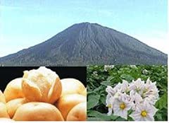 ���Ⴊ���� �i���������聕�j�݁j10kg L�T�C�Y �k�C�� �悤�Ă��Y �_�n���� ���n�ʓ��{�� �F�a�C�̍K�≮