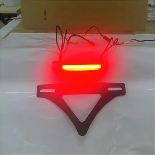 Support Plaque d'Immatriculation LED S1000RR avec Feu Arrière Moto Stop