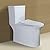 WinZo WZ5023 Tall One Piece Toilet Dual Flush With Comfortable Seat Height 18.75" ADA Compliance For Seniors Tall Disabled Person,12" rough-in, White