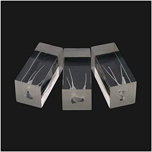 Generic BL08311659 10Pcs Dental Endodontic Root Canal Practice Model Endo Training Block Clear cover