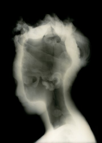 History's Shadow 1590052889 Book Cover