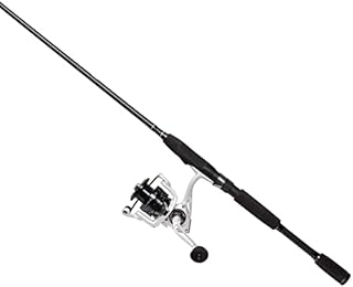 Cadence CC4 Spinning Combo Lightweight with 24-Ton 2-Piece Graphite Rod Strong Carbon Composite Frame & Side Plates Ergonomic EVA Handle Knob Reel & Rod Combo(CC4-2000-66ML)