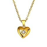 NHTISGRUE Collar de Zirconia de regalo de San Valentín Collar de Zirconia bañado al vacío en color conservador en horno