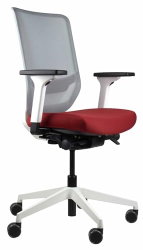 Trendoffice Silla Ergonómica Dauphin