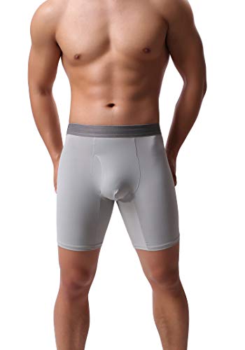 WINDAY Men's Briefs Breathable Ice Silk Sports-Inspired Underwear Boxer Briefs B19-22