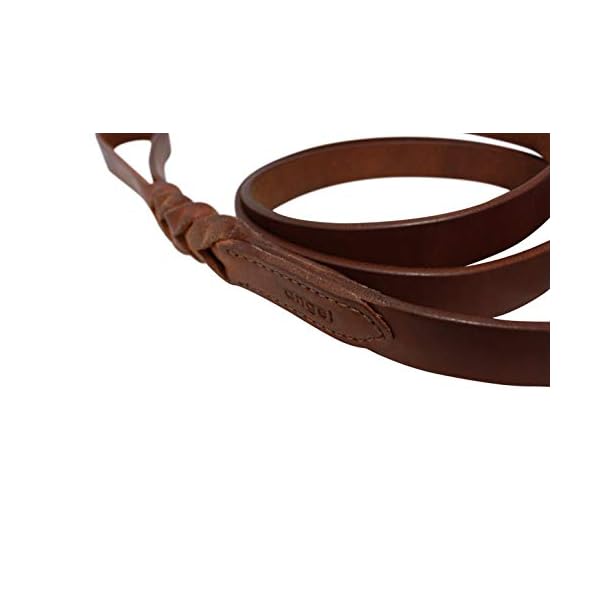 Leather Braided Leash, 6′ x 1″, Brown, 100% Genuine Oiled Leather. Angel Professional Collection Leather Braided Leash, 6′ x 1″, Brown, 100% Genuine Oiled Leather. Angel Professional Collection
