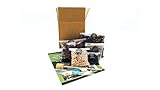 DIY Small Open and Closed Terrarium Kit