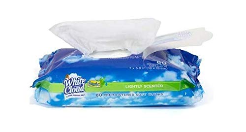 White Cloud Lightly Scented w/Aloe Wet Wipes (4 Pack)