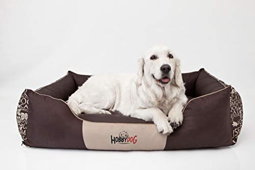 Bjird Panier pour Chien - Lit pour Chien, Housse en Cordura Amovible (Lavable à 30°) - Petits & Grands Chiens - Endroit pour Dormir, Accessoire Chien - 65 x 50 cm - Brun avec Texte Cover