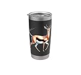 Acero inoxidable sin BPA Gacela Vaso térmico de acero inoxidable de doble pared