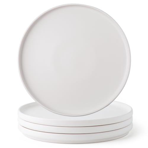 Amorarc ASP502 Ceramic Dinner Salad Plates Set Of 4 cover