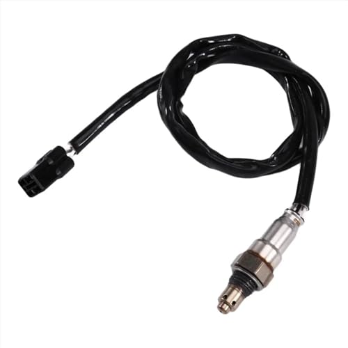 Capteur d'oxygène T25 T2207898 pour Tiger 1200 de 2022 à 2023