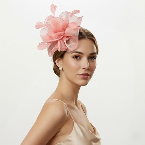 Image of DRESHOW Fascinators Hat Tea Party Headwear Ribbons Feathers on a Headband and a Clip for Women